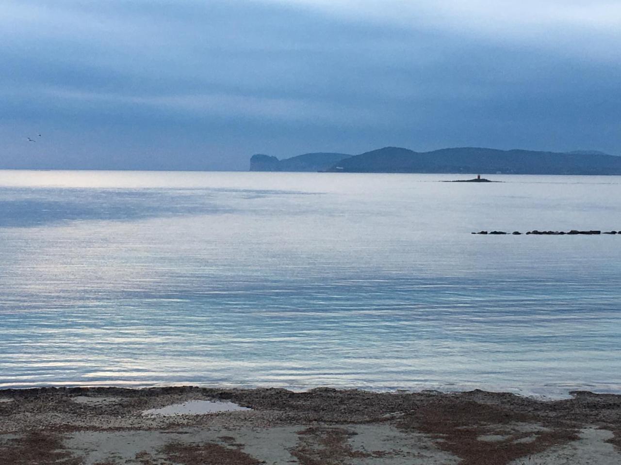 アルゲーロIl Mare Di Alidaアパートメント エクステリア 写真